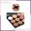 Professional cosmetic makeup palette 15 color eyeshadow OEM