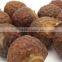 Soapnut With Seeds In First Grade Exporter In caribbean/Mexico/America