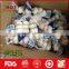 Fresh hot white garlic wholesale