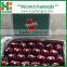 Chinese Red Sweet Tianshui Huaniu apple/apple market price