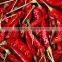 Chinese supplier wholesales export dried red chilli import from china