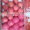 2016 New Season Crisp & Juicy Red Fuji Apple Fruit