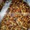 brined nameko mushroom nameko mushroom in brined liaoning province market price for nameko msuhroom