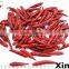 Round Red Dried Chilli For 2015 Chaotian Pepper