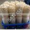 China competitive price mushroom basket for sale