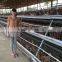 TAIYU Best Sale Chicken Egg Layer Cages System