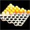 Bangchi 42-cell Plastic Chicken Egg Tray