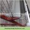 Hot selling automatic layer chicken battery cage