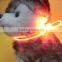 Fashion lighting up cat collars, puppy collars