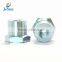 Stainless steel hexagonal nut/bot and nut