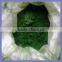 Factory Supply Chrome Oxide Green/ Chromium oxide green (CAS NO.:1308-38-9)