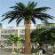 SJ12001106 date palm tree canary/canary jujube tree fake/fake palm tree in dubai