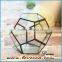 Polygonal geometric glass terrarium wholesale container