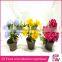 Hot sale china manufacturer home decoration desk potted flowers for wedding hanging home wall decoration