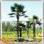 2.5m hight new product large outdoor plastic artificial palm trees for sale