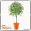 Guangzhou Supplier Artificial Ficus Tree Home Decoration Artificial Ficus Tree