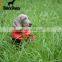 BlackDoggy Waterproof Raincoat for Dog Keep Puppy Dry Rainy Day Walking