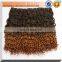 China Hot Selling Products Afro Kinky Curly Virgin Hair Ombre Weave Extension