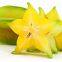 Carambola Drying Machine
