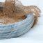 Galvanized steel wire construction wire