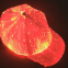 Fiber optic hat