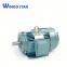 y Series Induction Ac Three Phase Electric Motor 140kw