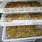 mushroom drying machine /air drying machine /garlic drying machine