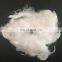 Junchi staple fiber polyester fiber bitumen polyester fiber