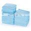 Pet Pad Pee Training, Pads Healthy Clean Mat Pet Dog Puppy Diapers Pet Hygiene Health Care Disposable/