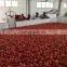 Tomato processing plant