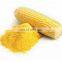 Pure corn flour with good price from Vietnam