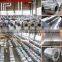 Jinan Hengming Steel Factory Cold Rolled coil galvanized steel coil for roofing sheet