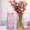 Glass Vase Transparent Hydroponic Colorful Vase Flower Pot Living Room Home Decoration