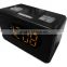 Orange LED Backlight PLL Dual Alarm Projector Clock Radio