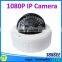 Poe Ip Camera 2.0 Megapixel,Dome Camera,IP network camera