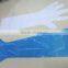 Free sample safety long sleeve disposable LDPE glove for slaughtering and food processing                        
                                                Quality Choice