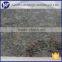 China Butterfly Blue Flower Granite Types Floor Tiles