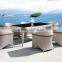 Europe type style high quality cafe imitation rattan furniture design