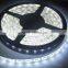 CE RoHS certified SMD5050 led flexible strip light 60 led/m DC12V