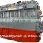 wood chips/rice husk biomass gasification power plant