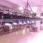 36pcs 3w RGBW Disco KTV Bar DJ Best Mini Beam Led Light MINI beam led moving head light