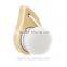 Hot Sell ABS Comma Shape Gold Face Cleaning Brush