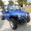 800cc Jeep Buggy 4X4