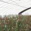 professional pe plastic woven greenhouse film in agricultural products for sale