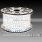 100m/roll 110V 220V SMD 5050 LED Strip Light+Power Plug,Warm white/White/RGB 60leds/m Waterproof IP67/68