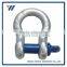 Us Type Drop Forged Screw Pin Bow Shackle