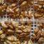 Supply 100% Natural walnut kernels Light halves with good quality