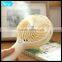 Portable Mini Plastic Water Bottle Spray Fan