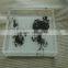 Clear UV printed cast storage acrylic tray with lid