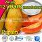 High quality factory supply Enzymes food additive for bread
